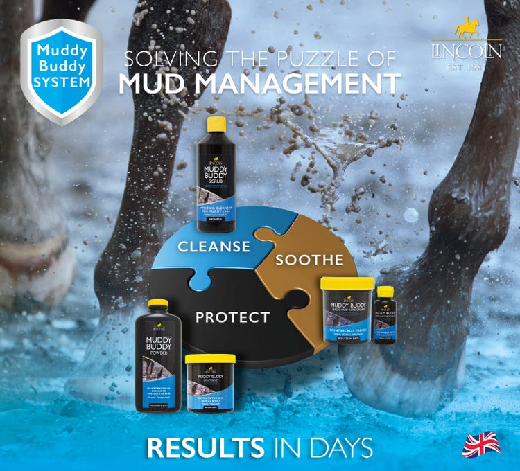 Lincoln - Muddy Buddy 2025